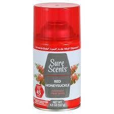 AMBIENTADOR EN AEROSOL APPLE CINNAMON 4.5 OZ
